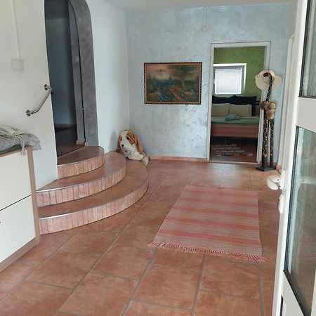 Vila Boba Bor Zlot Ngoại thất bức ảnh